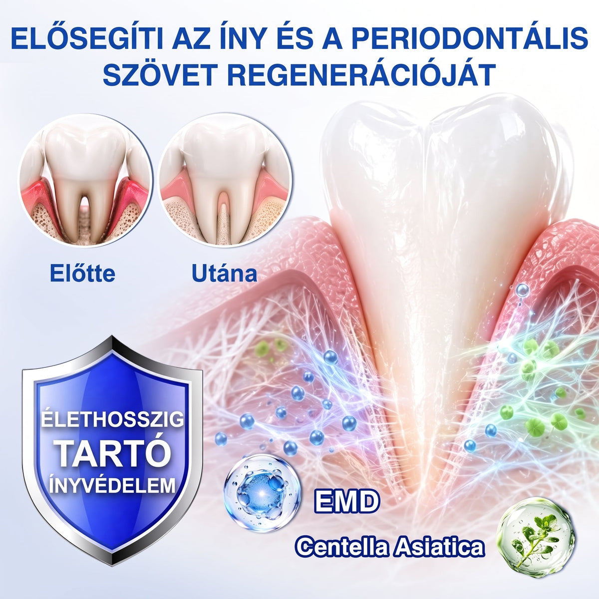 🇭🇺🏅🦷 HIVATALOS ÜZLET | Dr.Era® GumRevive Periodontal Repair Gel — Célzott fogínyápolás lepedék, fogszuvasodás, fogágyproblémák, kellemetlen lehelet és gyenge fogak esetén | Precíziós, leöblítést nem igénylő szájápoló formula